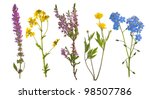 Wild Flowers Collection...