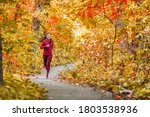 Autumn Forest Run Path. Fall...