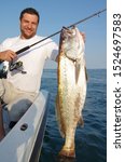 Small photo of Surf fisherman holding a big meager fish. boat and sea fishing