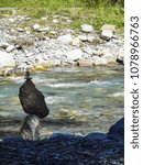 Small photo of Stone formations on a river in the Swiss mountains Rosenlaui Valley Switzerland