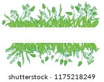 frame flowers grass white and... | Shutterstock .eps vector #1175218249