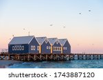 Pigeons Over Busselton Jetty...