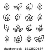collection black icons of leaf... | Shutterstock . vector #1612820689