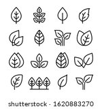 set black icons leaves ... | Shutterstock .eps vector #1620883270