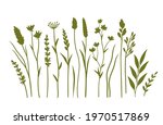 set of wild flowers  plants and ... | Shutterstock .eps vector #1970517869