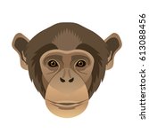 Vector Chimpanzee Face ...