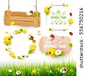 spring collection of labels ... | Shutterstock .eps vector #556750216