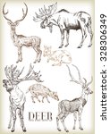 Hand Drawn Deer Vector Set