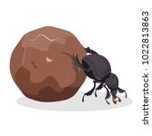 Big Dung Beetle That Pushes Big ...