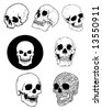 Toothless Skull Vector - 13359445 : Shutterstock