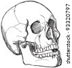 Skull Sketch Stock Vector Illustration 92251936 : Shutterstock