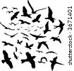 Birds Silhouette Sets Stock Vector Illustration 40000456 : Shutterstock